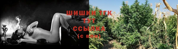 ECSTASY Верхний Тагил