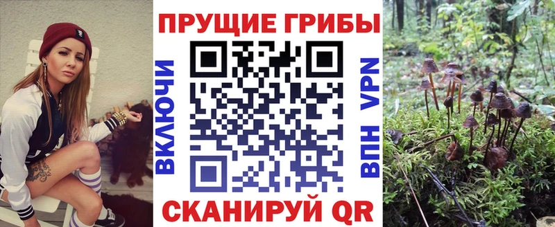 цены   Иланский  Псилоцибиновые грибы Psilocybine cubensis 